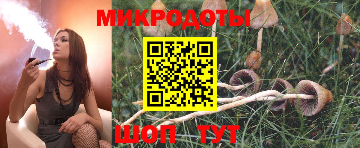 Галлюциногенные грибы GOLDEN TEACHER Крымск