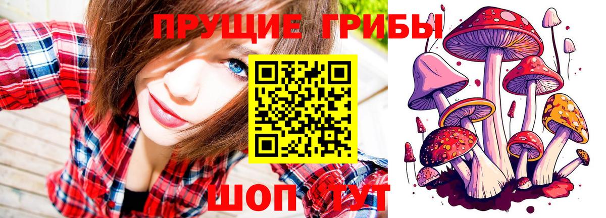 Псилоцибиновые грибы Cubensis  Вход с VPN  Крымск 