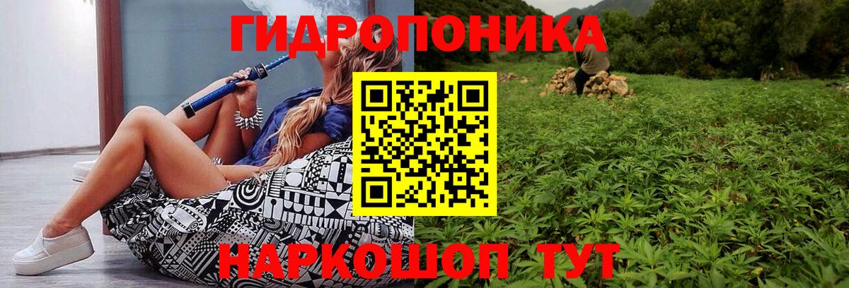Крымск  Бошки марихуана планчик  Канабис SATIVA & INDICA  Вход с VPN 